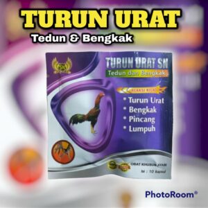 OBAT TURUN URAT SN TEDUN AYAM KAKI BENGKAK PINCANG LUMPUH