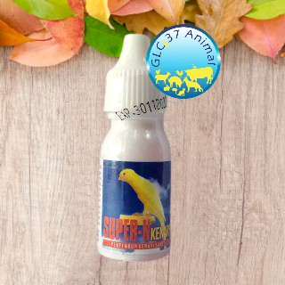 SUPER-N KENARI BY SUPER KICAU OBAT BURUNG KENARI SAKIT INFEKSI PENCERNAAN DIARE BERAK KAPUR