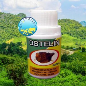 ISI 50 OSTELIN KAPSUL mencegah & mengobati kelumpuhan pada ayam bebek