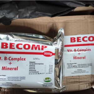 SEDUS /1 BOX BECOMP SERBUK BUBUK POWDER ISI 10 BUNGKUS KEMASAN 500 GRAM VITAMIN B KOMPLEX KHUSUS HEWAN