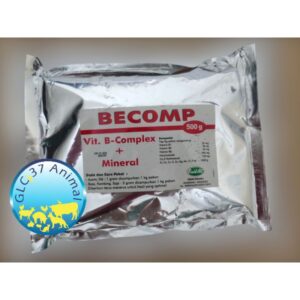BECOMP BUBUK 500 GRAM VIT B COMPLEX KOMPLEKS & MINERAL KHUSUS HEWAN