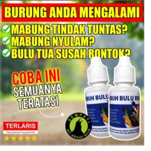 OBAT PENUMBUH BULU BURUNG SEMPATI MENGATASI BULU RONTOK PATAH SULIT TUMBUH MEMPERCEPAT MABUN
