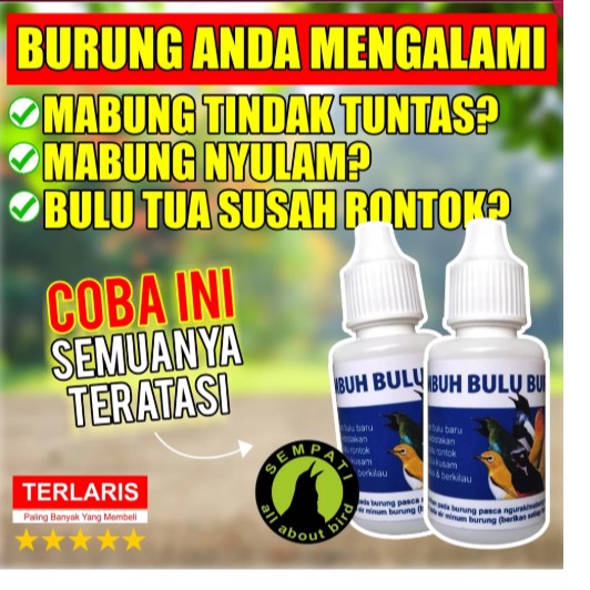 OBAT PENUMBUH BULU BURUNG SEMPATI MENGATASI BULU RONTOK PATAH SULIT TUMBUH MEMPERCEPAT MABUN