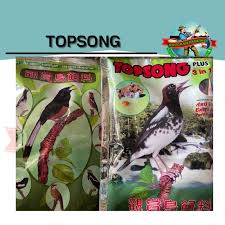 TOPSONG TOP SONG KUNING/COKLAT DAN RUMPUT LAUT VOER PUR PAKAN MAKANAN BURUNG