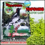 Rumput Laut