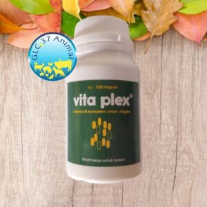 vita plex 100 kaplet BY MEDION vitamin B kompleks unggas untuk daya tahan tubuh ayam